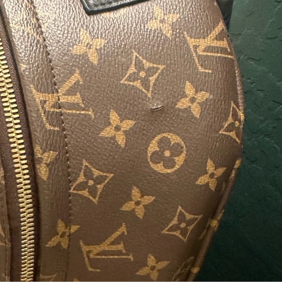 Louis Vuitton Palm Springs MM - Picture 8 of 10